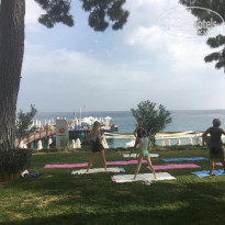 фото из отзыва ID 1898848