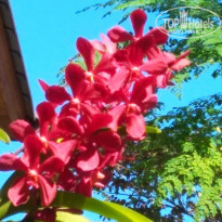 фото из отзыва ID 1898885