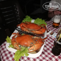 фото из отзыва ID 1898615