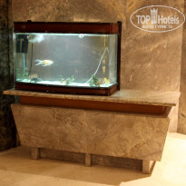 фото из отзыва ID 1899258