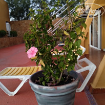 фото из отзыва ID 1899274