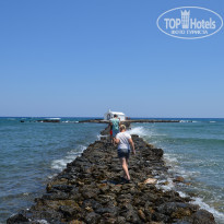 фото из отзыва ID 1899312