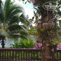 фото из отзыва ID 1899061