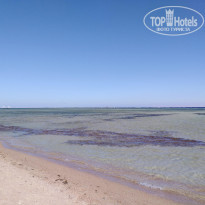 фото из отзыва ID 1899162