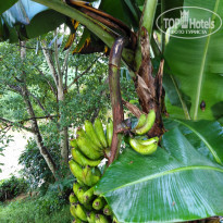 фото из отзыва ID 1896556