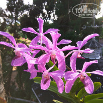фото из отзыва ID 1899381
