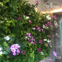 фото из отзыва ID 1899395