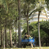 фото из отзыва ID 1899610