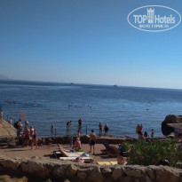 фото из отзыва ID 1899627