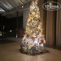 фото из отзыва ID 1899890