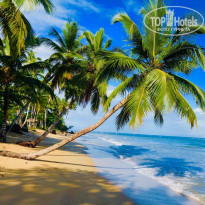 фото из отзыва ID 1899890