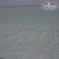 фото из отзыва ID 1899903