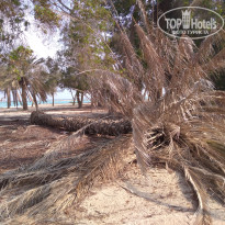 фото из отзыва ID 1899903