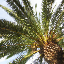 фото из отзыва ID 1899966