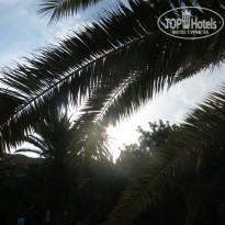 фото из отзыва ID 1899966