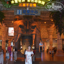 фото из отзыва ID 1895828