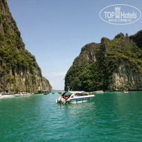 фото из отзыва ID 1895114