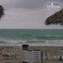 фото из отзыва ID 1897878