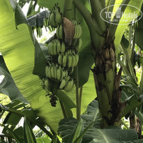 фото из отзыва ID 1891771