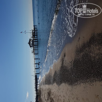 фото из отзыва ID 1897718