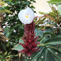 фото из отзыва ID 1891771