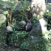 фото из отзыва ID 1891771