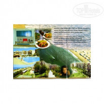 фото из отзыва ID 1904