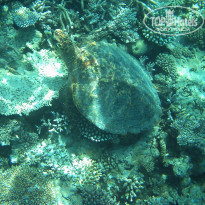 фото из отзыва ID 190867