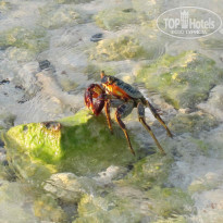 фото из отзыва ID 190867