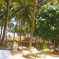 фото из отзыва ID 190840