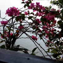 фото из отзыва ID 1900076