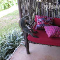 фото из отзыва ID 1900296