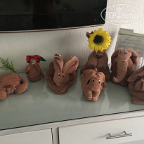 фото из отзыва ID 1900592