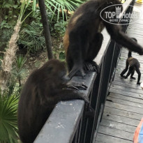 фото из отзыва ID 1900592