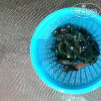 фото из отзыва ID 1900657