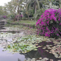 фото из отзыва ID 1900657