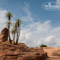 фото из отзыва ID 1900672