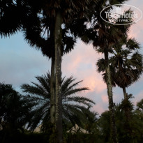 фото из отзыва ID 1900675