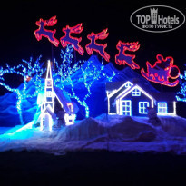 фото из отзыва ID 1900675