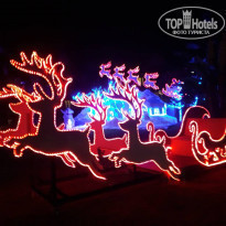 фото из отзыва ID 1900675