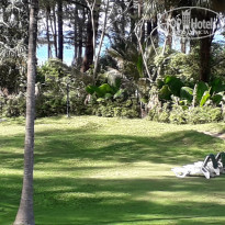 фото из отзыва ID 1900675