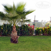 фото из отзыва ID 1900681