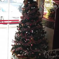 фото из отзыва ID 1900779