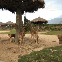 фото из отзыва ID 1900793