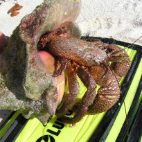 фото из отзыва ID 1900928