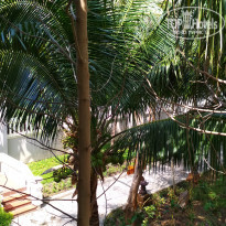 фото из отзыва ID 1900945