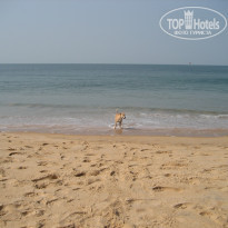 фото из отзыва ID 1900975