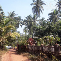 фото из отзыва ID 1900986