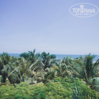 фото из отзыва ID 1901033