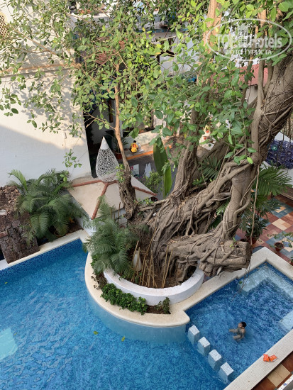 New photos from tourists Pirache Art Hotel 3*